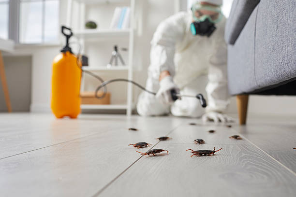 Commercial Kitchen Cockroach Control in Amelia Court House